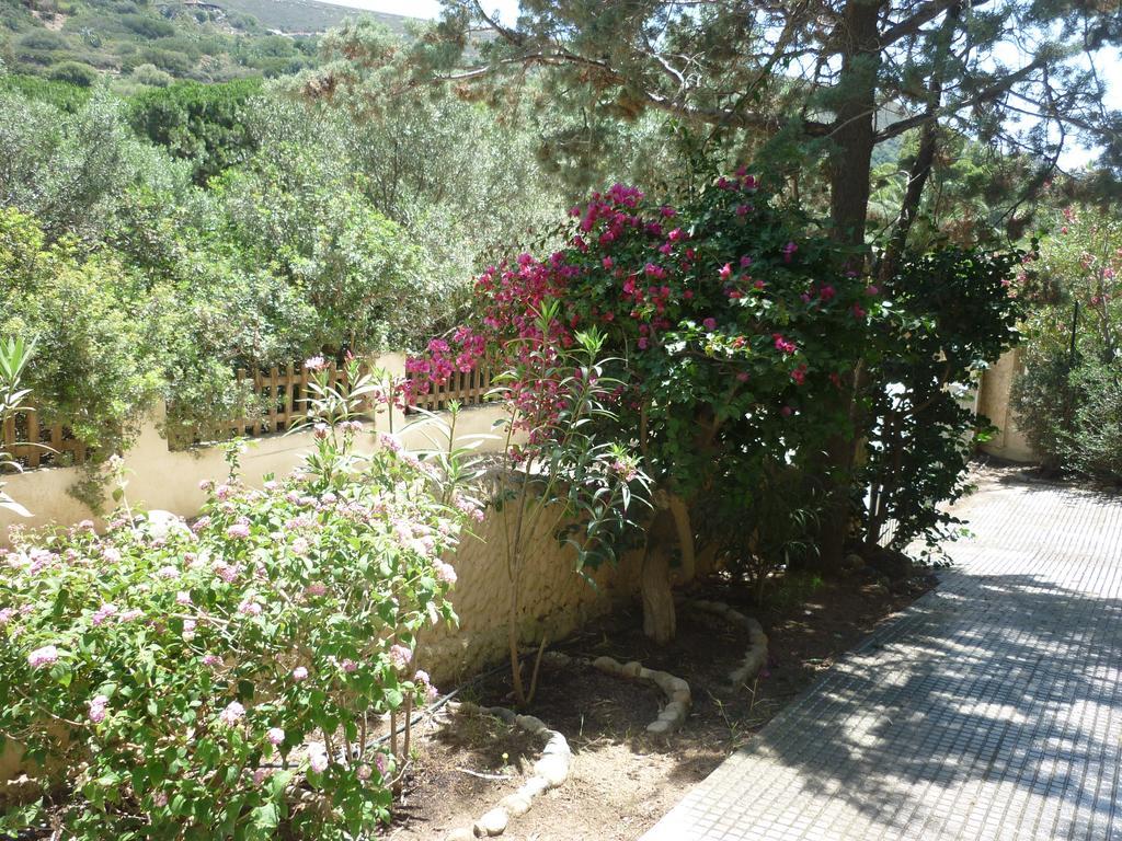 Villa Bonu Torre delle Stelle Kültér fotó